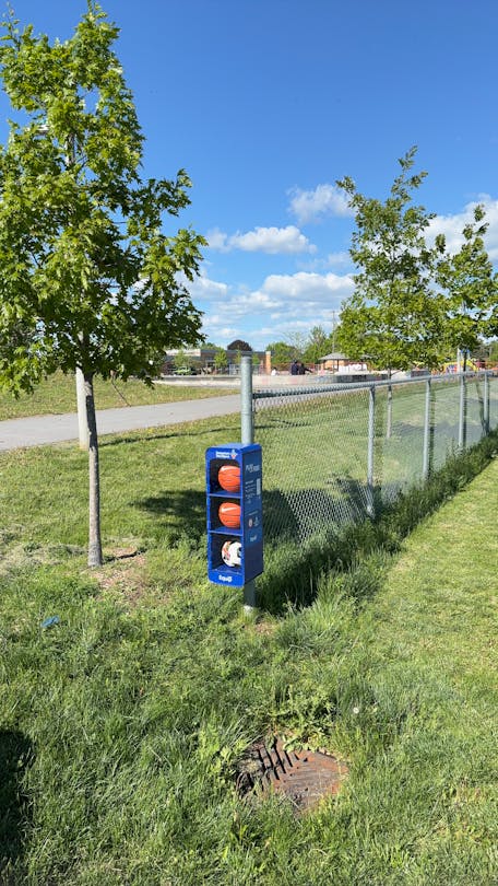 Daly Street Park